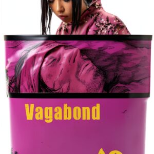 Vagabond Manga Band 10 Viz LLC Historische Action-0