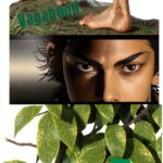 Vagabond Manga Band 3 Viz LLC Englisch Historische Action-0