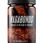 vagabond