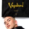 vagabond boots